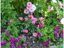DSC_0065.JPG