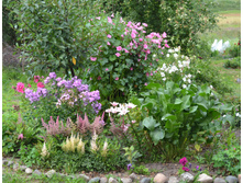 DSC_0022.JPG