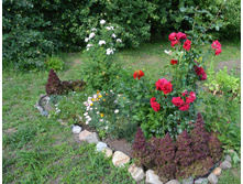 DSC_0045.JPG