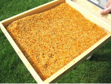 �������� �������.jpg