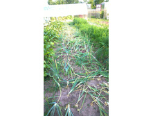 WP_20140801_18_48_01_Pro.jpg