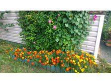 WP_20140804_10_49_56_Pro.jpg