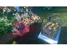WP_20140804_18_00_39_Pro.jpg