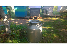 WP_20140804_18_01_12_Pro.jpg
