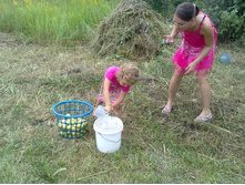 ������ 6.jpg