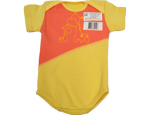 ����, �������� �����, ��� 178-010