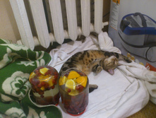 ������� � ������ �� ����������