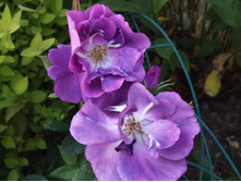 �������� �� ���