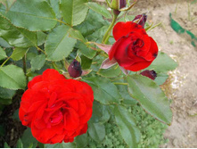 �������