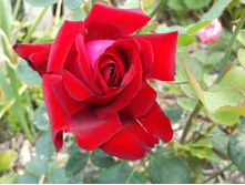 ����������� ������� � �����