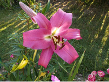 ����� ����� ��� ������