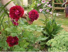 ������ �������