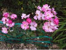 �������� ����