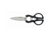 ������� ������������� 21 ��. Icel