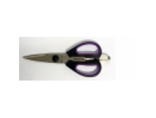 ������� ������������� 21 ��. Icel