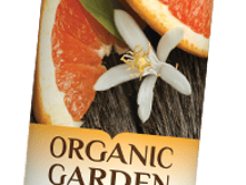 ORGANIC GARDEN_���� ��� ����_����������� �������� � ��������.png