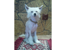 IMG20140805195438png.png