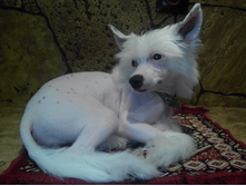 IMG20140805195759png.png