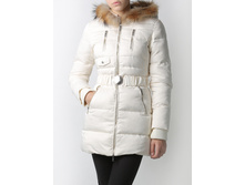 ������ 113|2336|686