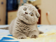 �� �������� ��� �������_������.jpg