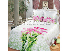 ����� �� �������.jpg