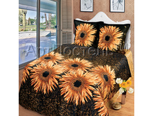 ����� �� ���������.jpg