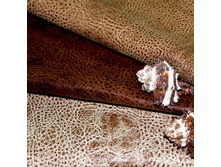 ������� �����-���������. ���� �� ������� ������� � ������������ ������.