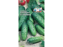 ������ �� ������ ������ F1 (0,3 �)_10,70 ���.jpg