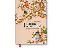 ����� �� ������.png