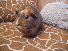 �������� ���.JPG