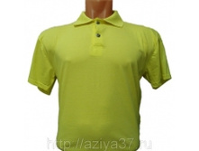 ���� ������ ֣����.jpg