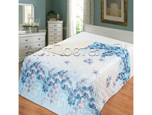 ��������� �������.jpg