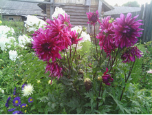 ������� ��������� ����������