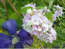 ����� �������� ������.jpg