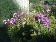 ������ �����. � �����..jpg