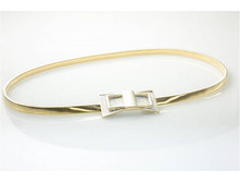 ������ �-420/67