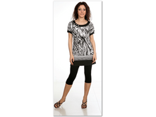 big_cat_02f5a42b56304f7aaba2dd6acd05aebe.png