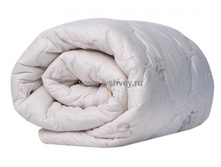 ������ ����.jpg