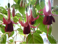 P1120202.JPG