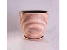 ������ ���