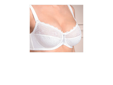 Amarylis ����������� ������ ��������� 992 �