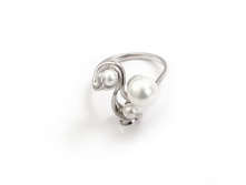 Hedwige (�����).jpg