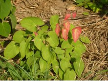 P1020805.JPG ������� ��� ��������� ��� "����� ������