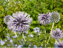 P1020812.JPG ��������� 20�