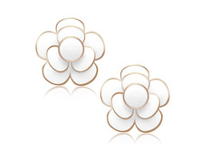 Camellia (�������).jpg