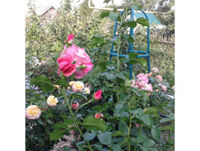 ����-0506 (2).jpg