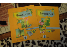 ������ң��, 2 �����  80�