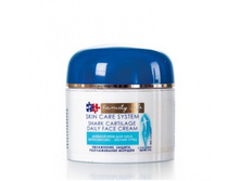 ���� ������� ��� ���� ����������� – ������ ���� � �������� �� �������� �����.jpg