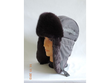 ���� ����� 510 ���.JPG