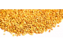 ��������� ������.jpg